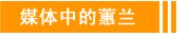 tyc7111ccע ýеޥ