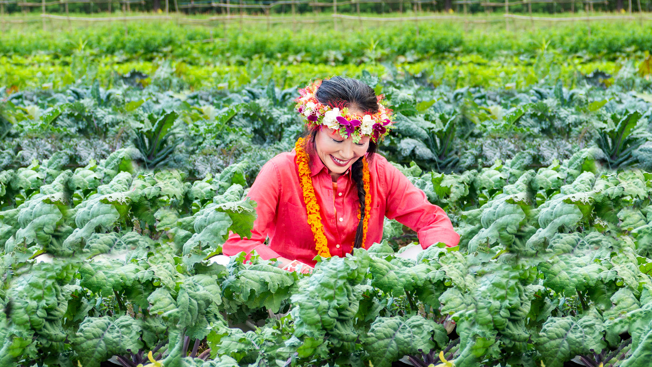 「西红柿浇汁茄子」茄子控不能错过的超级下饭菜!
