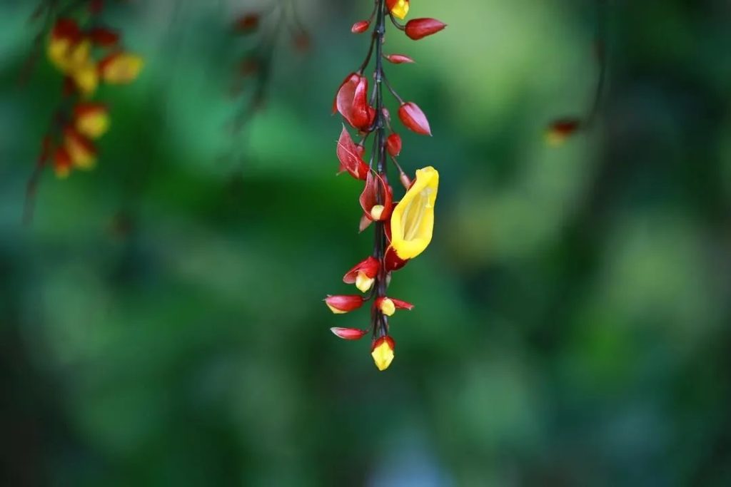 This image has an empty alt attribute; its file name is ڷ-1024x683.jpg