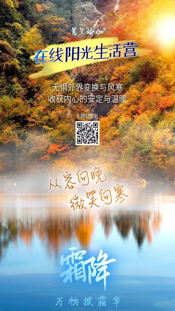 全面的学习